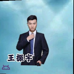 王振宇